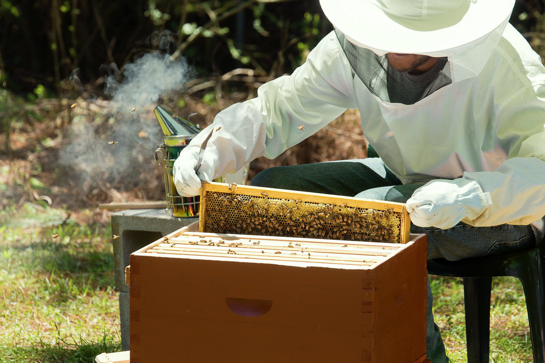 Product Launch: Herstat Expands Range with Routine L-Lysine Supplements